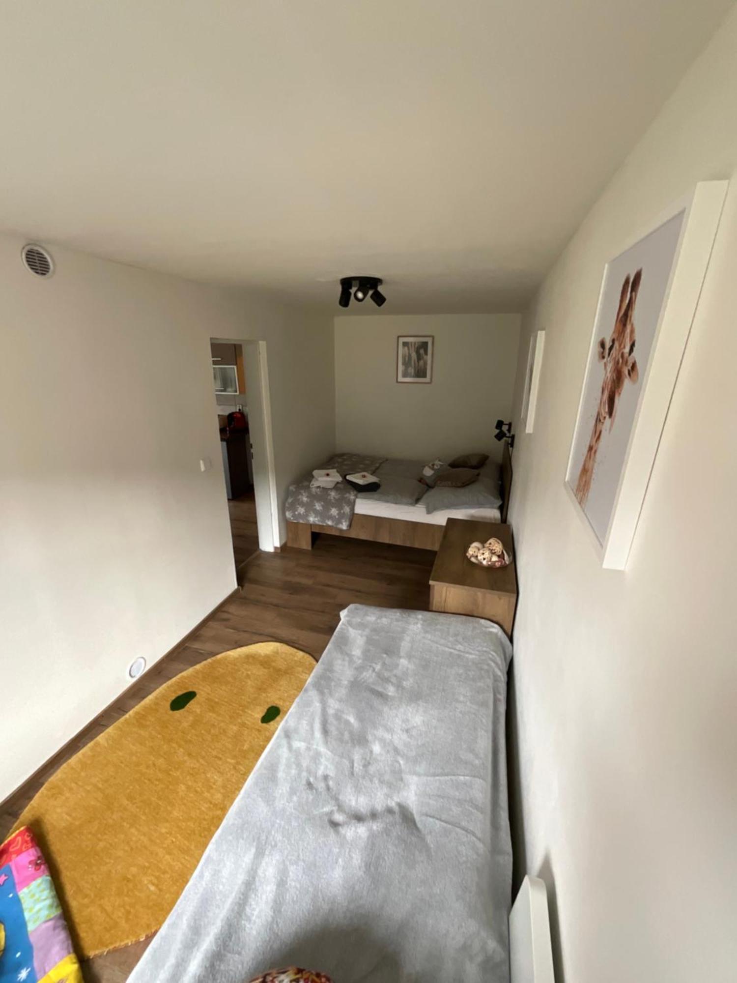 Apartment Owl Korenov Exterior photo